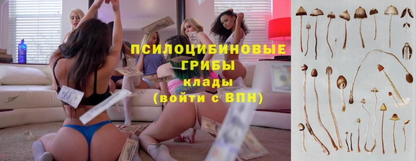 бошки Абдулино