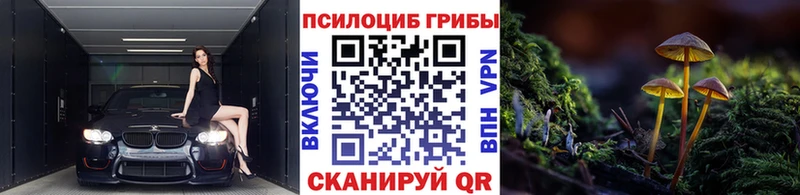 ОМГ ОМГ ссылка  Уфа  Галлюциногенные грибы Cubensis 